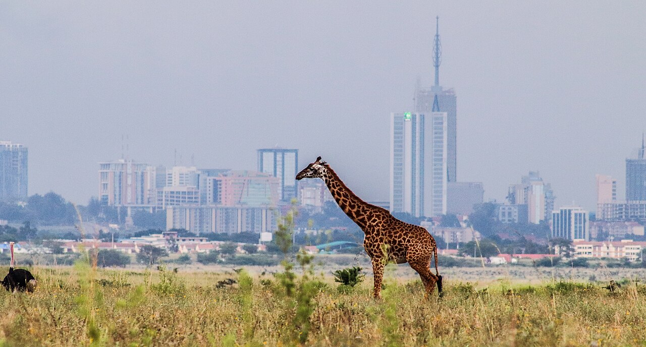 A_giraffe_with_a_beautiful_background_of_Nairobi_City_Skyline