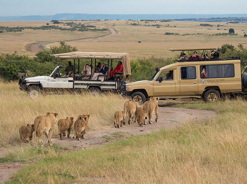 Safari_in_The_Maasai_Mara_(43837384641)