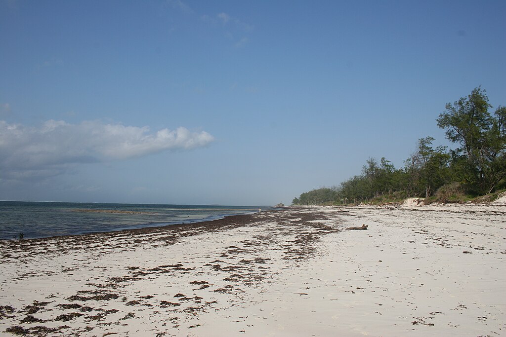 Watamu_Beach,_Kenya